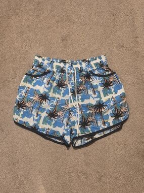 iBerryNY Blue Palm Tree Beach Shorts